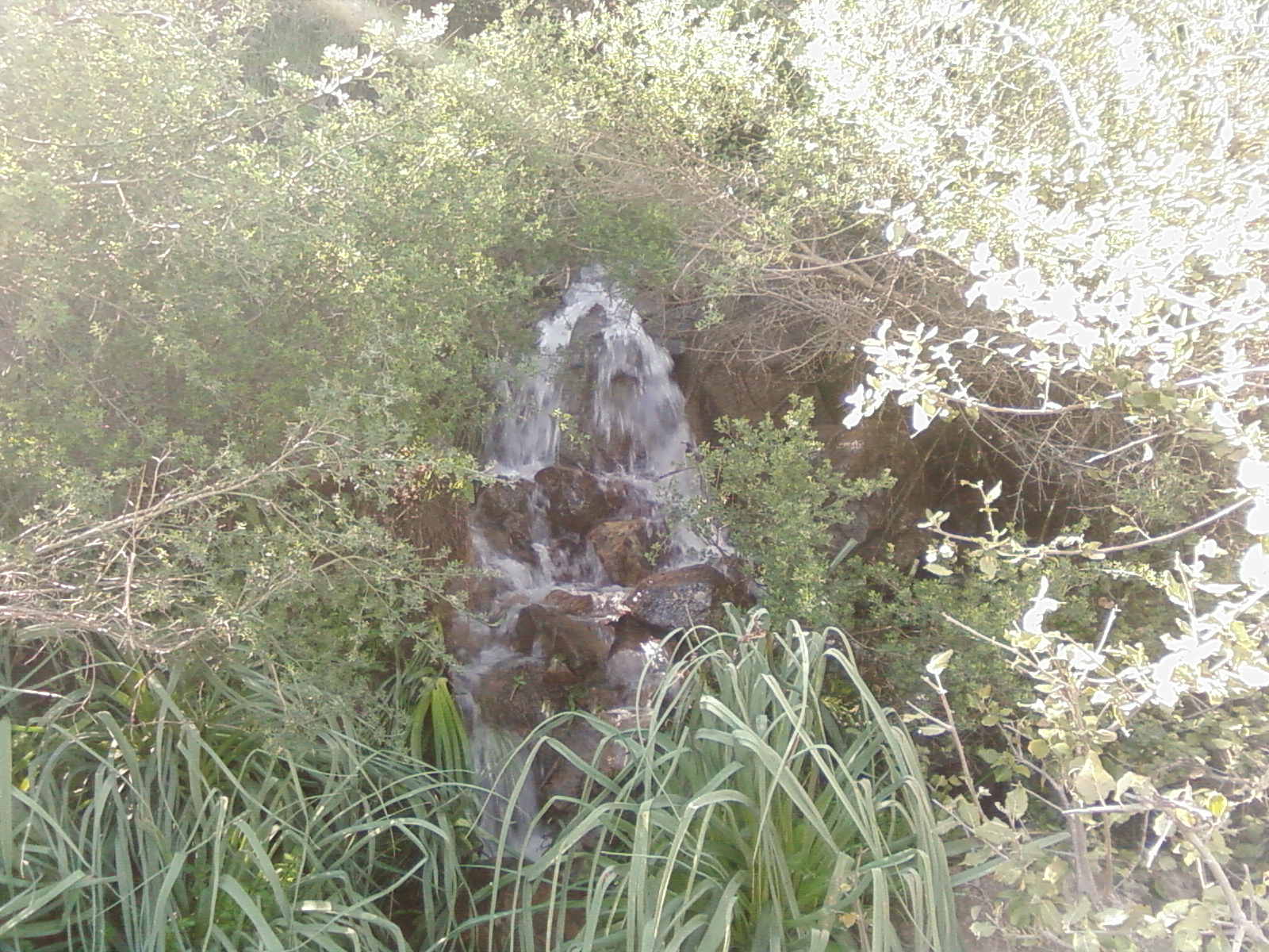 HAMALA 2009  cours d'eau  2