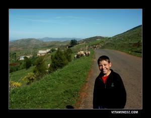 Petit Berger Ouled Ben Ayed, M'sirda Thata