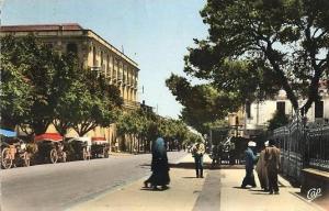 GUELMA - L'avenue Sadi Carnot