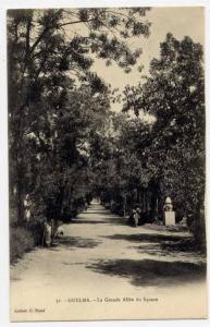 G7  - GUELMA - la grande allée du Square (carte au dos non divisé < 1903)