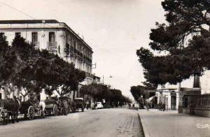 AFRIQUE. ALGERIE. AUTRES VILLES. GUELMA. La Rue Sadi Carnot. Carte Dentelée.