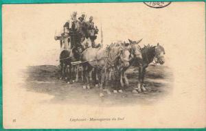 CC -- CPA ALGERIE - LAGHOUAT - MESSAGERIES DU SUD