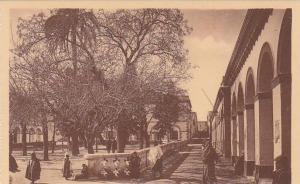 LAGHOUAT / PLACE RANDON