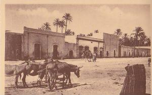 LAGHOUAT / LA PLACE DU MARCHE AUX BESTIAUX