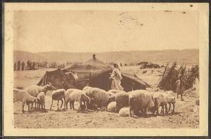 - CPA ALGERIE - Laghouat, campement de Nomades