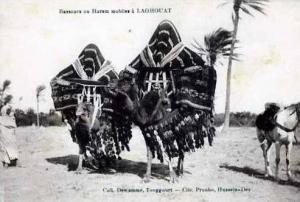 ALGÉRIE LAGHOUAT BASSOURS OU HAREM MOBILES