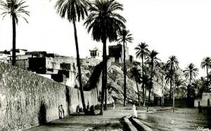 Carte photo- ALGERIE- LAGHOUAT    X329