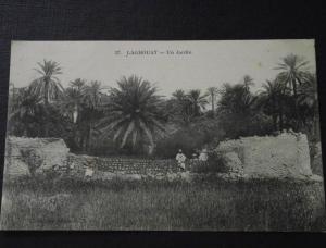 LAGHOUAT (Algérie) - Un Jardin - animée - non voyagée