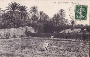 LAGHOUAT.  UN JARDIN.