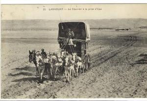Carte Postale Ancienne Algérie - Laghouat. Le Courrier à la prise d'eau - Attelage, diligence, Postes
