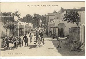 Carte Postale Ancienne Algérie - Laghouat. Avenue Marguerite