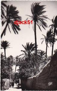 LAGHOUAT - La Grande Séguia - REAL-PHOTO