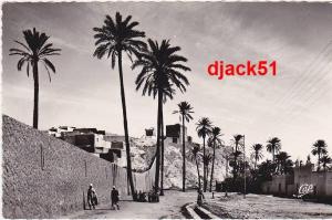 LAGHOUAT - La Dala vers la Marabout Sidi Abdelkader - REAL-PHOTO (Petite animation)