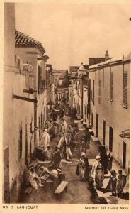 cpa ALGERIE    LAGHOUAT province de Wilaya,  le quartier des Ouled Naïls, animé.