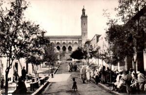 ALGERIE LAGHOUAT LA MOSQUEE CPSM CIRCULEE 1961