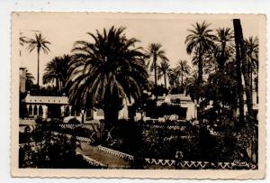 CPsm ALGERIE LAGHOUAT  Sud Algérien Un Jardin dans l'Oasis