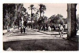 ALGERIE LAGHOUAT   La Grande Place  - Photo Africaine N° 40