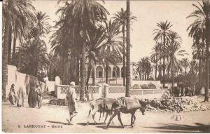 LAGHOUAT - Mairie (carte animée)