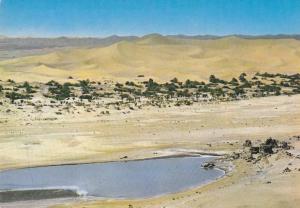 AFRIQUE DU NORD,ALGERIE,LAGHOUAT,el aghouat,oasis,oued,desert ,dune