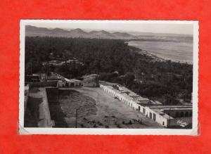 algérie laghouat  échappée sur l'oasis  edit  CIM ( non écrite )