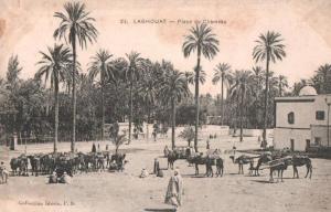 ALGERIE LAGHOUAT PLACE DU CHAMEAU ANIMEE PAS CIRCULEE
