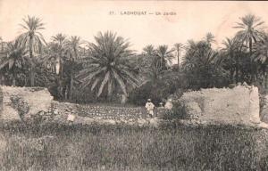ALGERIE LAGHOUAT UN JARDIN ANIMEE PAS CIRCULEE