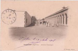 laghouat - avenue cassaigne