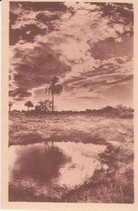 CPA  -  117.  LAGHOUAT  - Effet de nuages