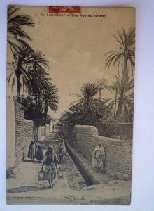 LAGHOUAT  (Algérie)    Une Rue du  Schetett