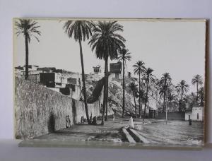 ALGERIE - LAGHOUAT - MARABOUT DE SIDI-ABDEL-KADER ET DAL'A