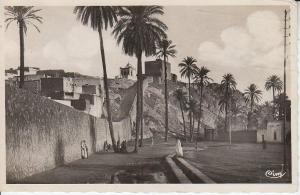 ALGERIE - cpsm LAGHOUAT - sud algérien - marabout de sidi abdel kader - attalah bouameur à laghouat - d17 883