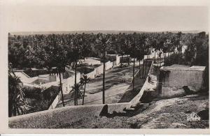 ALGERIE - LAGHOUAT - village chtett - d21 983