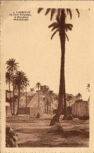 ALGERIE  LAGHOUAT  Le Fort Morandet, le marabout Abd-el-Kader  ..... ( Ref FA1093 )