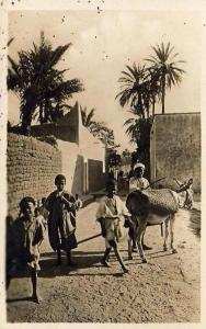 ALGERIE  LAGHOUAT  Environs de Laghouat  ..... ( Ref FA1095 )