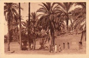 ALGERIE  LAGHOUAT  Dans le Chemin de ronde  ..... ( Ref FA1089 )