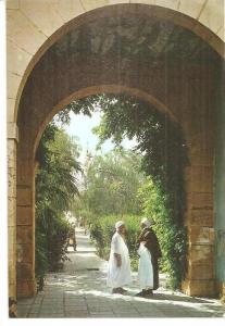 algérie  LAGHOUAT  vue