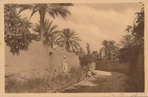 AFRIQUE - ALGERIE - LAGHOUAT - La Grande Séguia