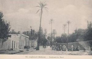 LAGHOUAT  BOULEVARD DU NORD