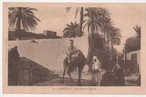 ALGERIE - LAGHOUAT-  Une rue de Schetett
