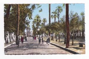 Algérie LAGHOUAT Place de la République Coll Attalah Bouameur Musée Oriental