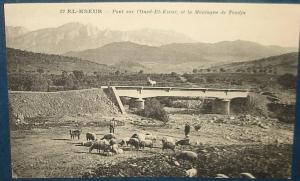 EL-KSEUR.Pont sur l'Oued El Kseur,Montagne de Toudja.Cpa,voyagé,be,anim ée