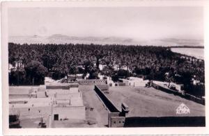 CPSM/CPA carte postale ancienne AFRIQUE ALGERIE LAGHOUAT vue sur la Palmeraie TBE