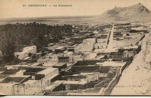 CPA LAGUOUAT-LE SCHETETT