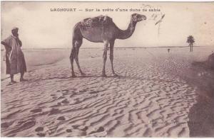 CPA LAGHOUAT SUR LA CRETE D' UNE DUNE DE SABLE