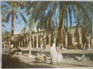 C. Postale  ALGERIE - LAGHOUAT - PLACE DE LA REPUBLIQUE (1969)