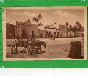 LAGHOUAT LA PLACE DU MARCHE AUX BESTIAUX