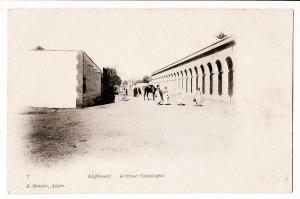 Peu Commun Algerie LAGHOUAT Avenue CHASSAIGNE CPA 1890s GEISER 7 Algeria Algerien Argelia Algerije