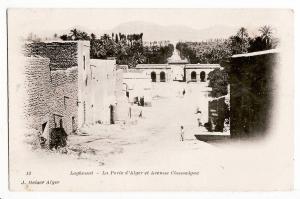 Algerie LAGHOUAT Avenue CHASSAIGNE Porte ALGER CPA 1890s GEISER 12 Algeria Algerien Argelia Algerije