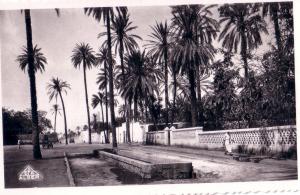 CPA carte postale ancienne AFRIQUE ALGERIE LAGHOUAT un boulevard