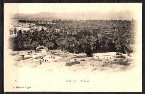 Algérie - Laghouat - L'Oasis - Vue générale